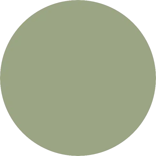 250mm Acrylic Round Blank | Pastel and Botanical Colours | 3mm Thick