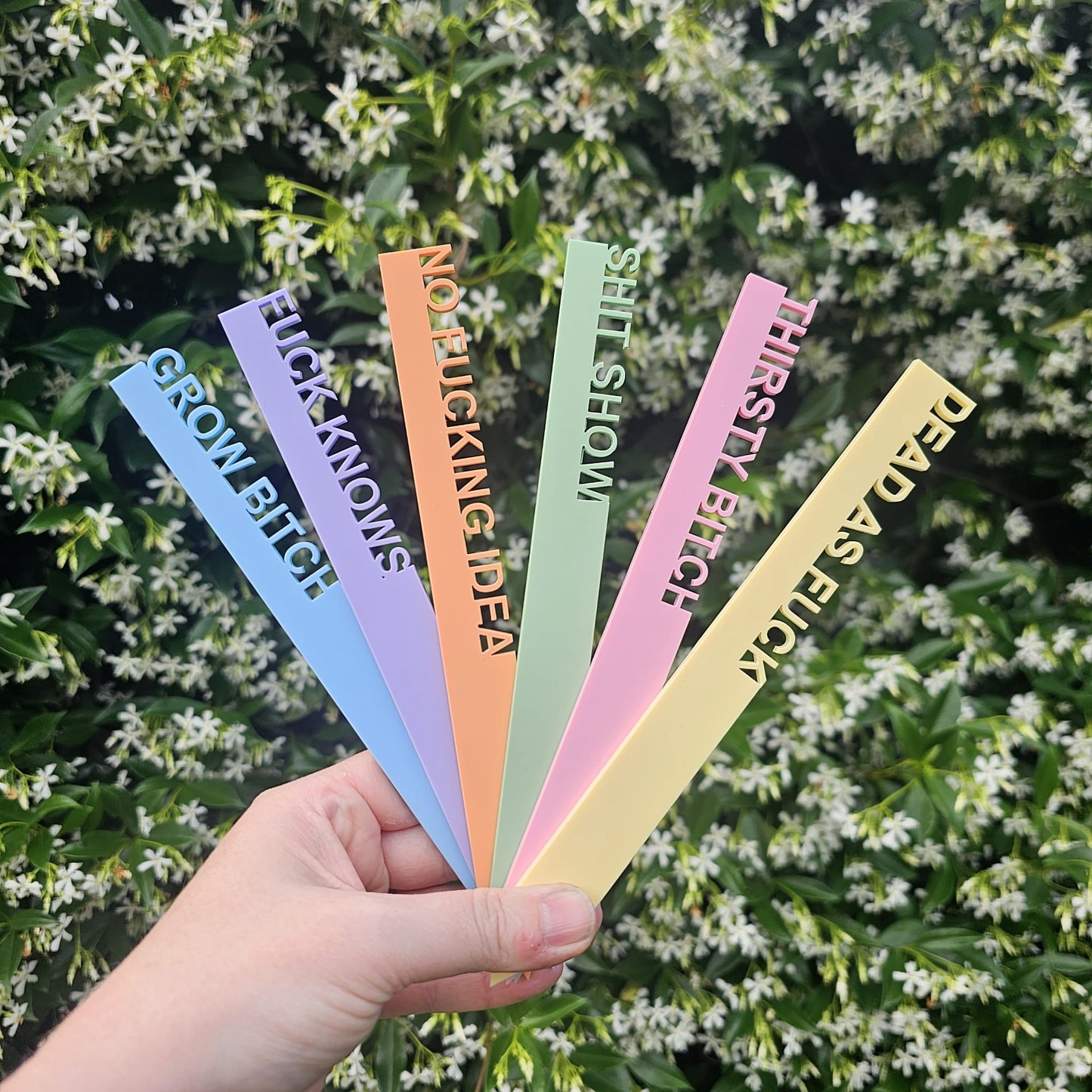 Funny Garden Plant Stakes - Sweary