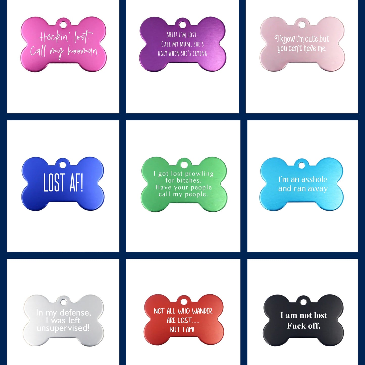 Pet Name Tags - Funny / Humorous