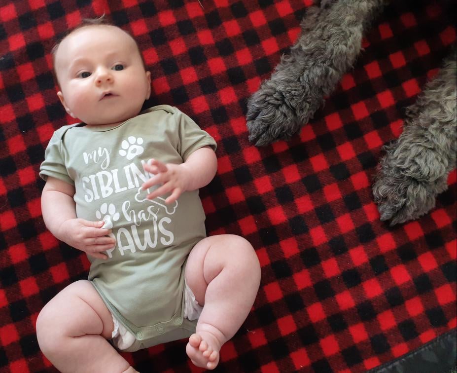 My sibling has paws outlet onesie